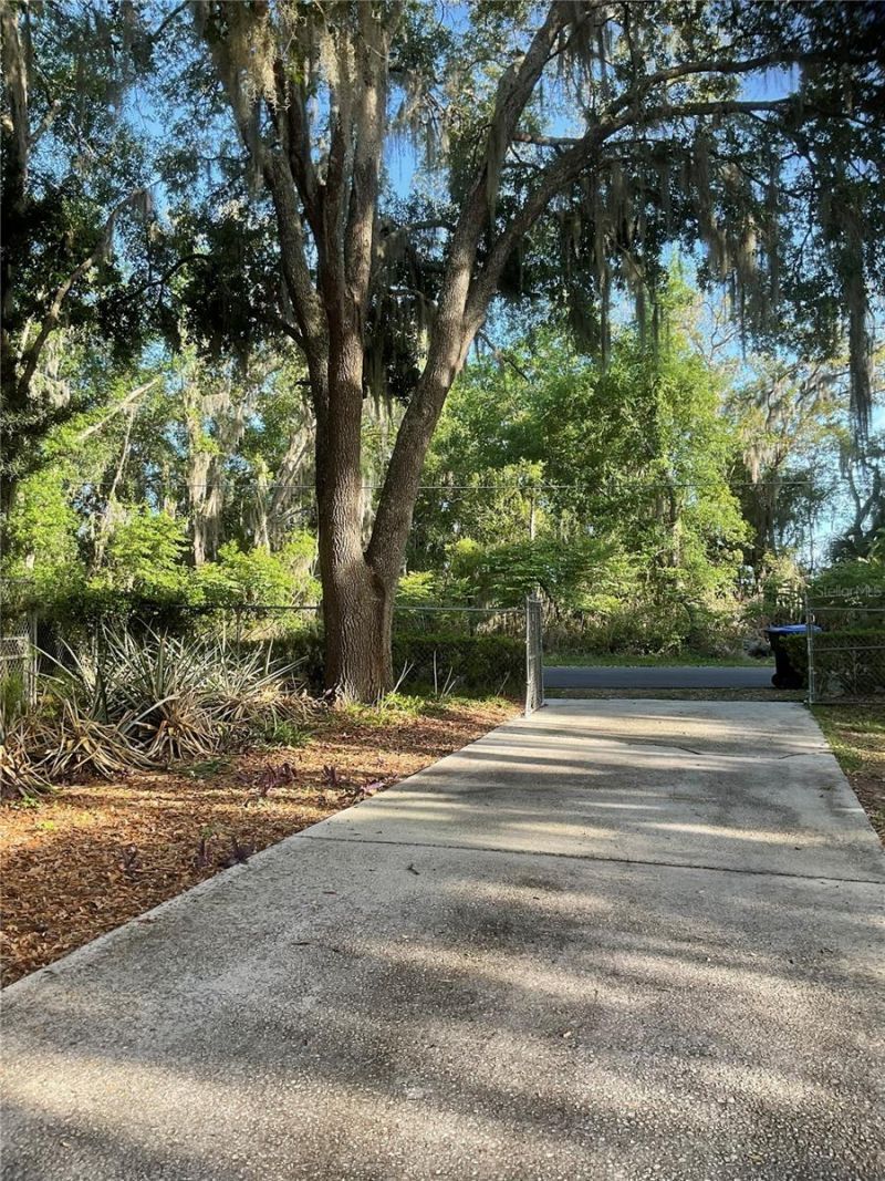 17005 Arrowhead Boulevard, Winter Garden, FL 34787 Photo