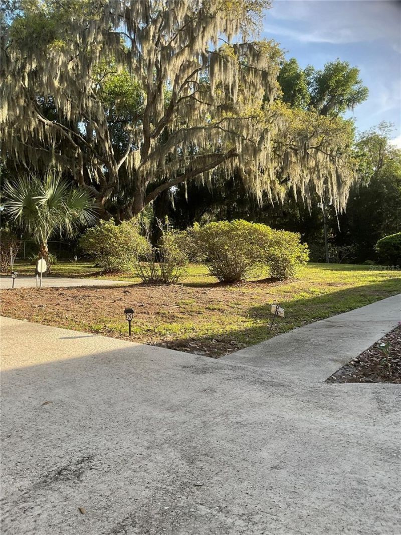 17005 Arrowhead Boulevard, Winter Garden, FL 34787 Photo