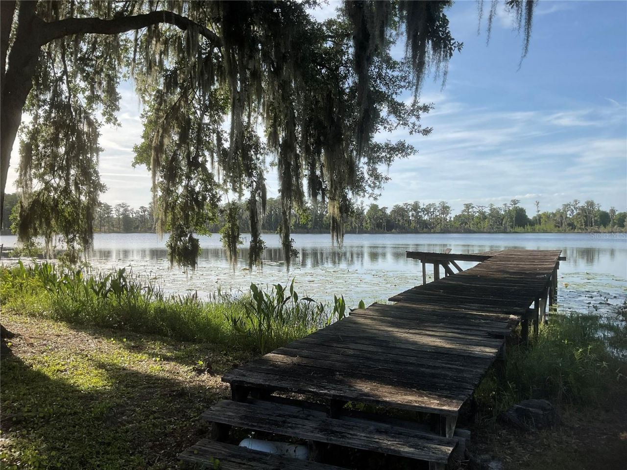 17005 Arrowhead Boulevard, Winter Garden, FL 34787 Photo