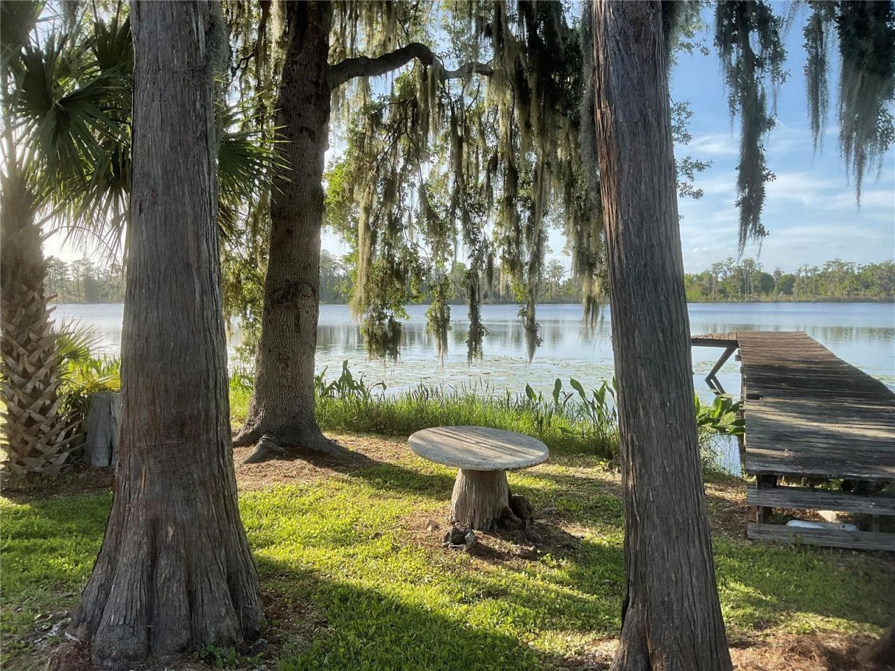 17005 Arrowhead Boulevard, Winter Garden, FL 34787 Photo
