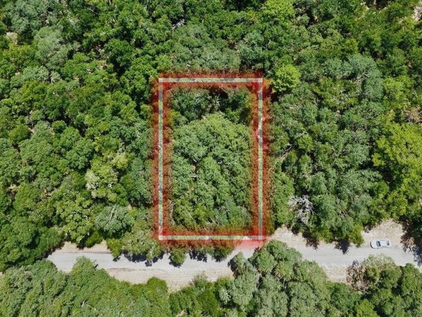 TBD FISHER LANE DRIVE, OCKLAWAHA, FL 32179