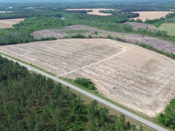 0 Bunn Store Road, Unit TRACT 4, Midville, GA 30441