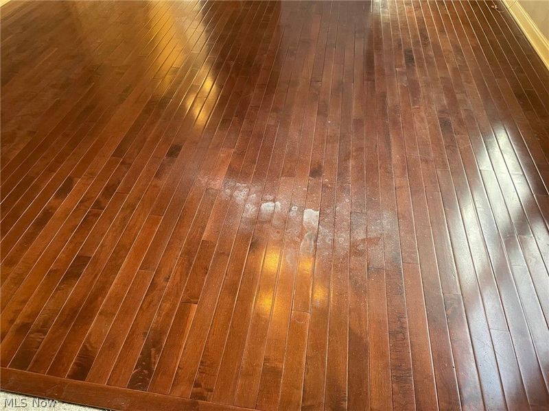 4440 Sexton Road, Cleveland, OH 44105 Photo 38