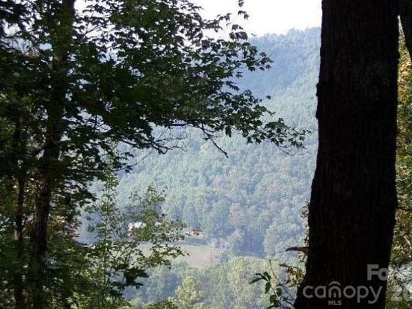 100 Black Bear Ridge Trail , Zirconia, NC 28790