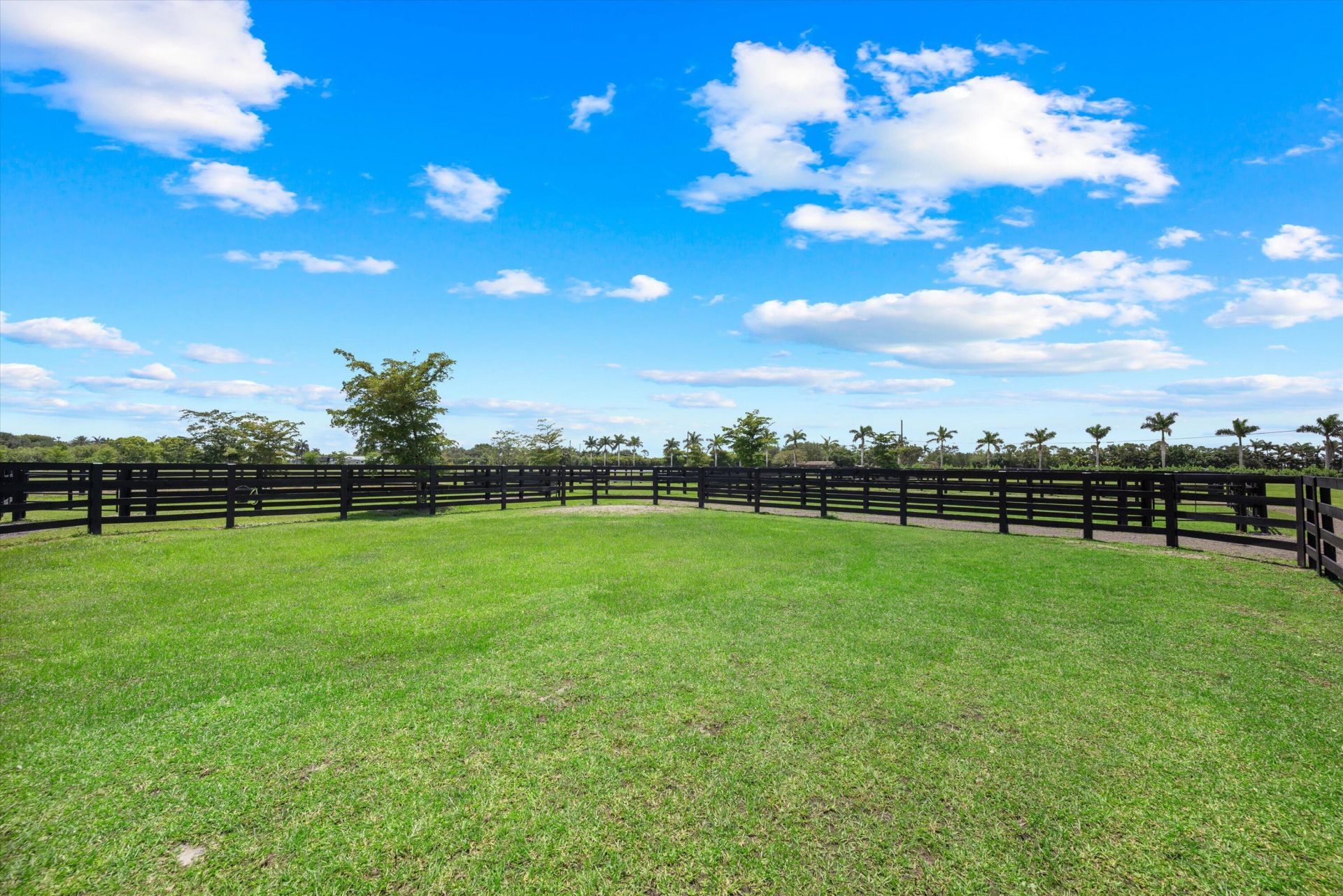 16175 Deer Path Lane, Wellington, FL 33470 Photo