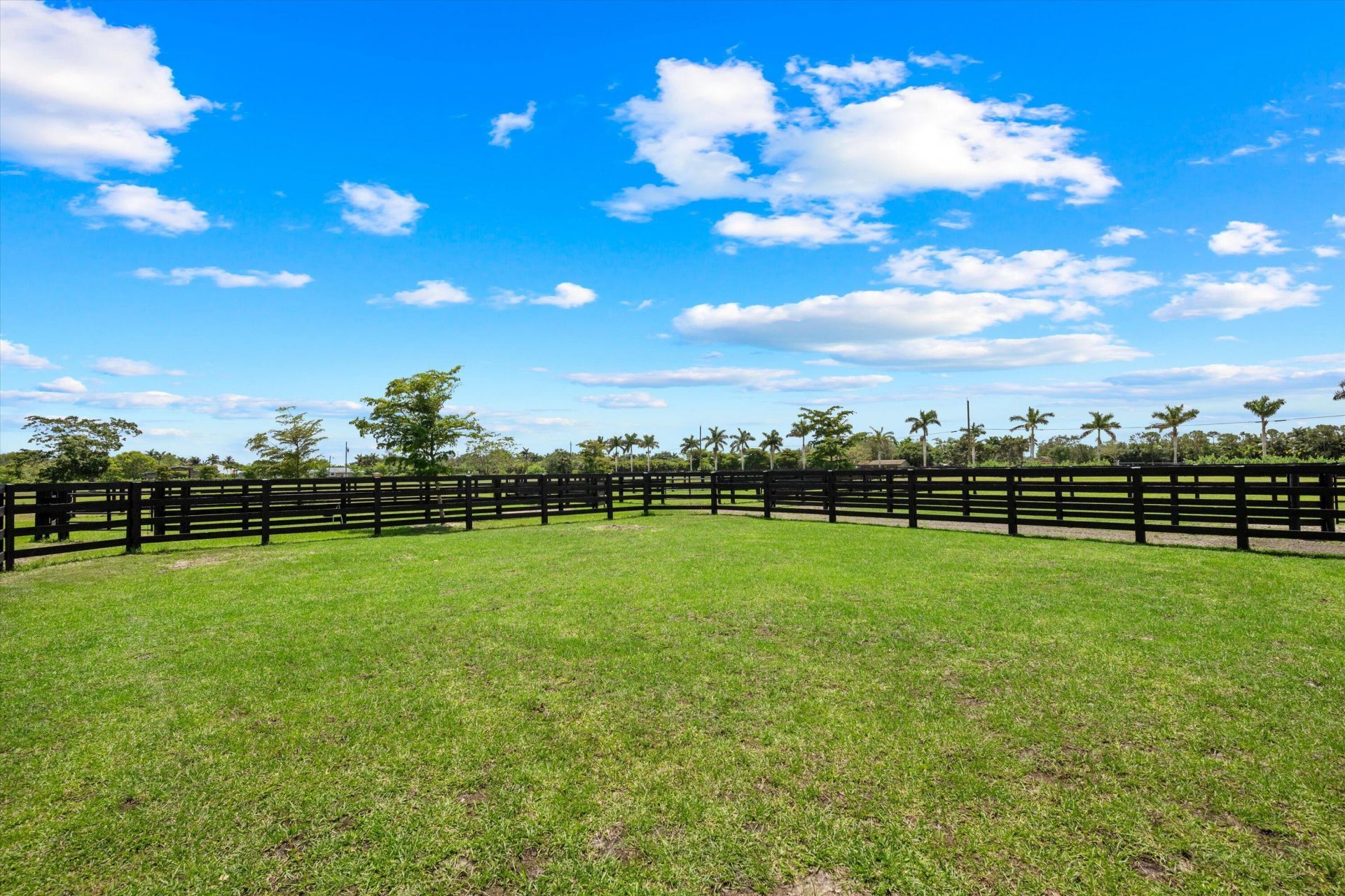 16175 Deer Path Lane, Wellington, FL 33470 Photo