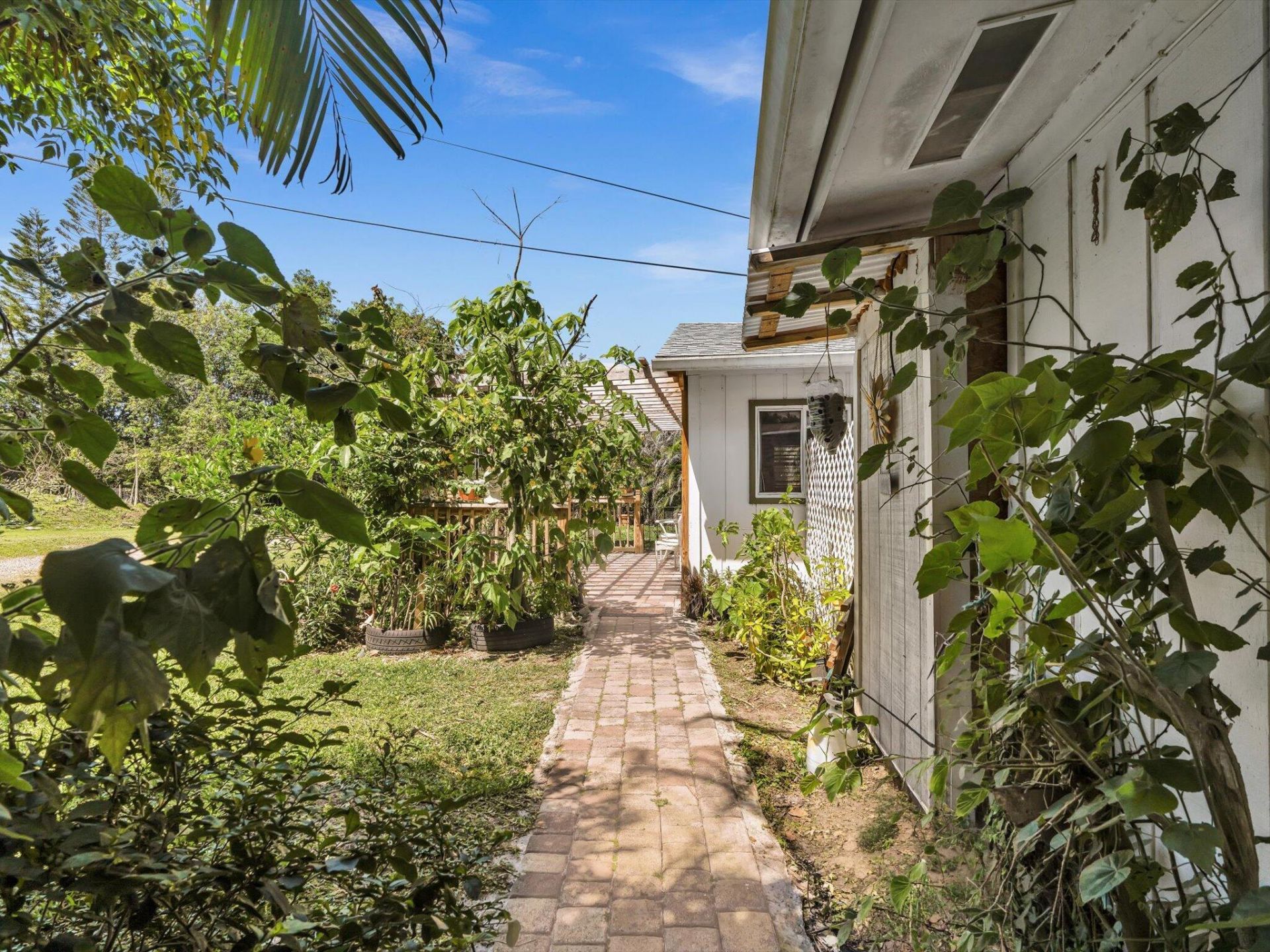 5209 Coconut Boulevard, The Acreage, FL 33411 Photo