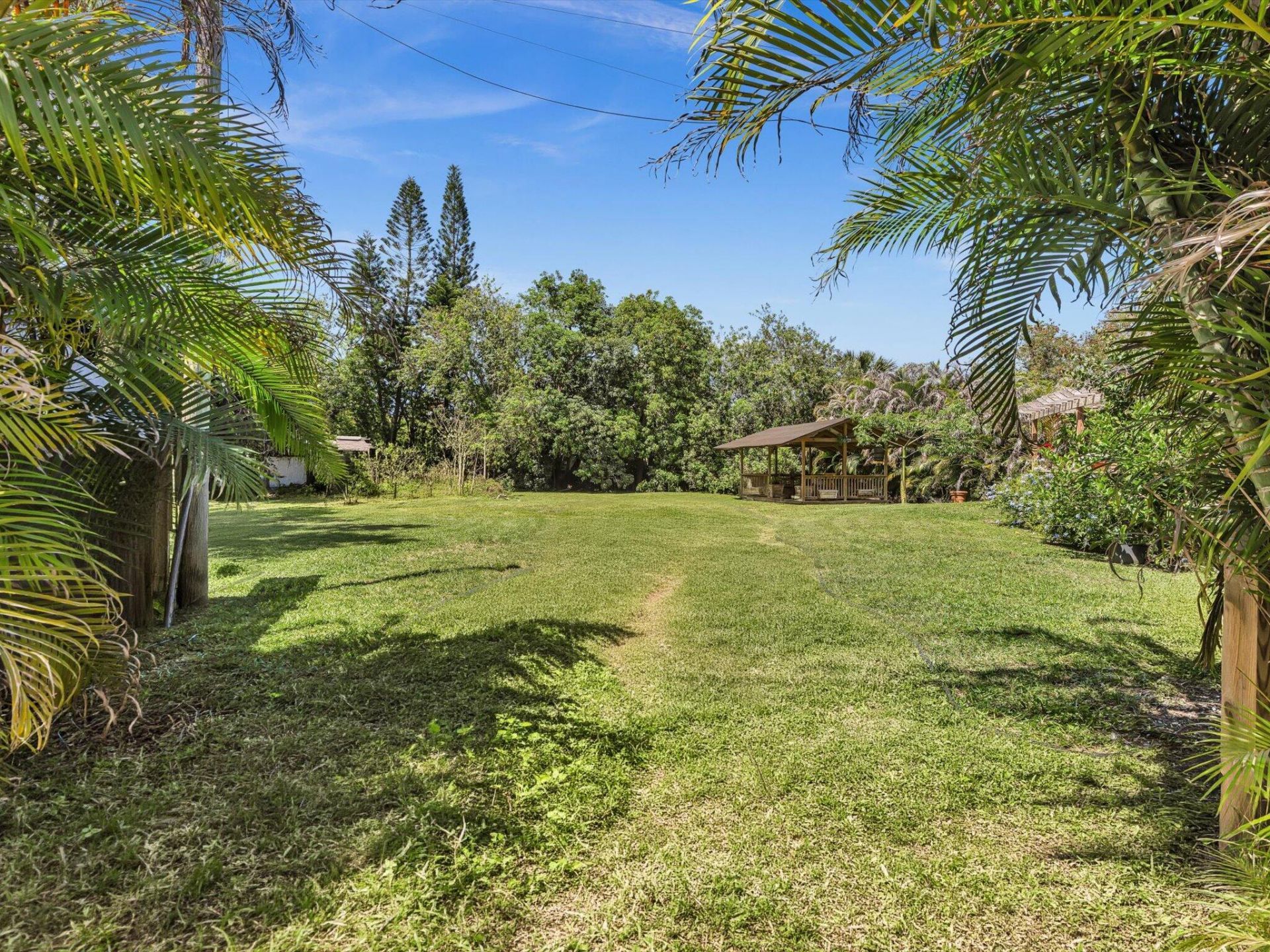 5209 Coconut Boulevard, The Acreage, FL 33411 Photo