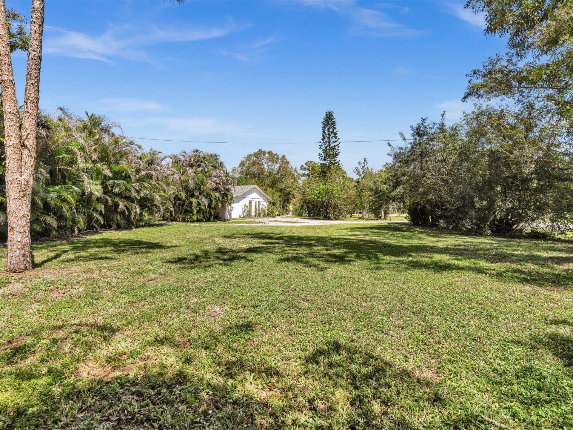 5209 Coconut Boulevard, The Acreage, FL 33411 Photo