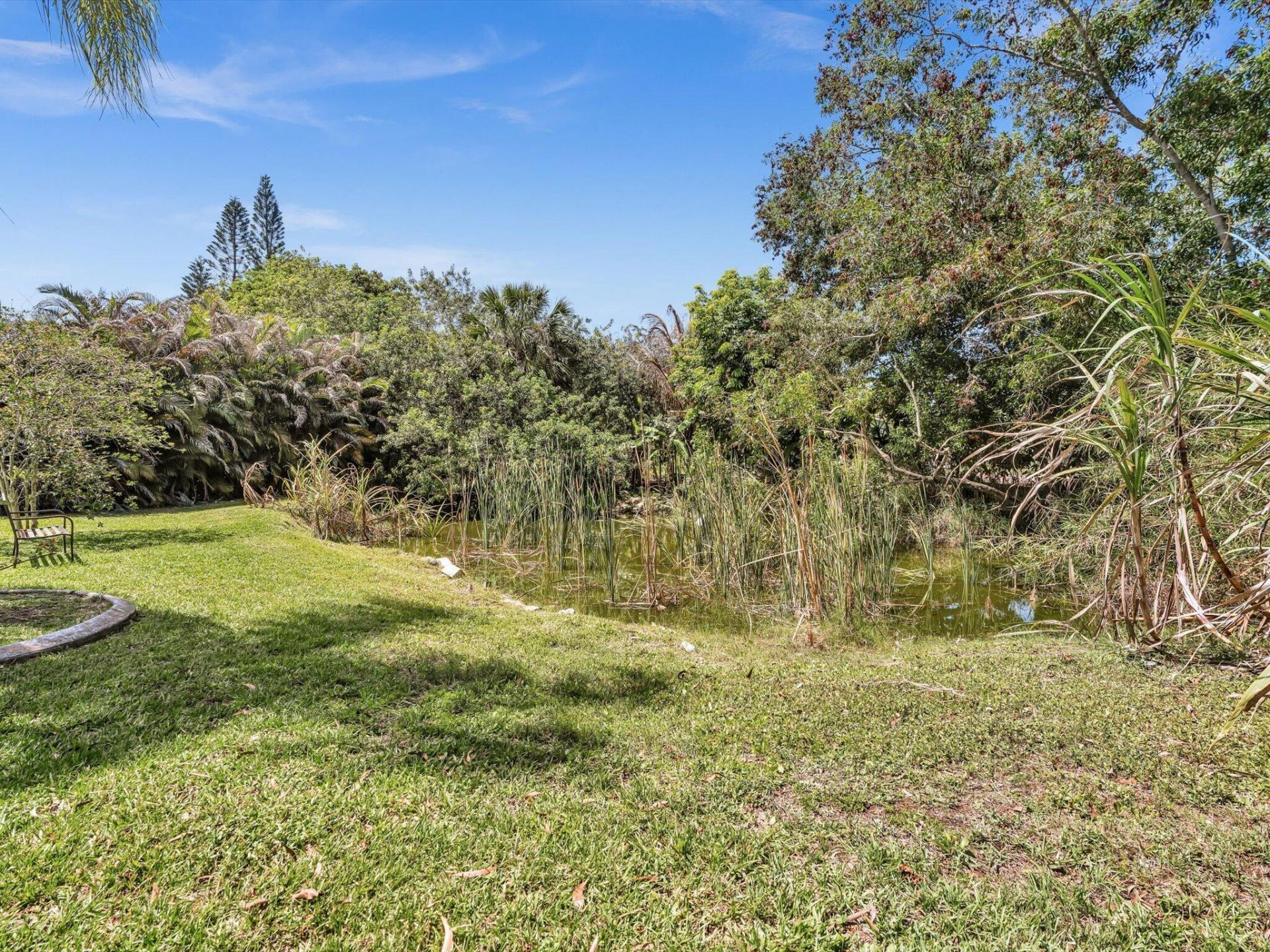 5209 Coconut Boulevard, The Acreage, FL 33411 Photo