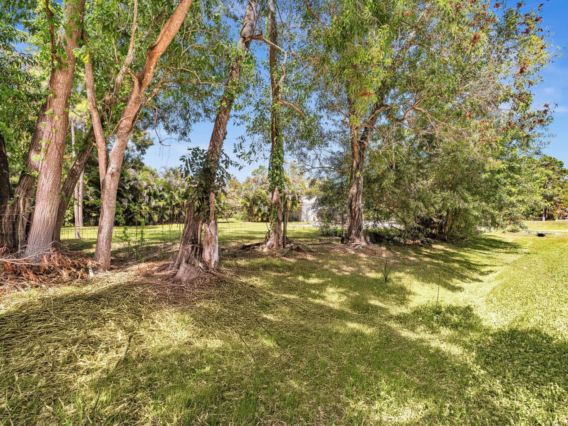 5209 Coconut Boulevard, The Acreage, FL 33411 Photo