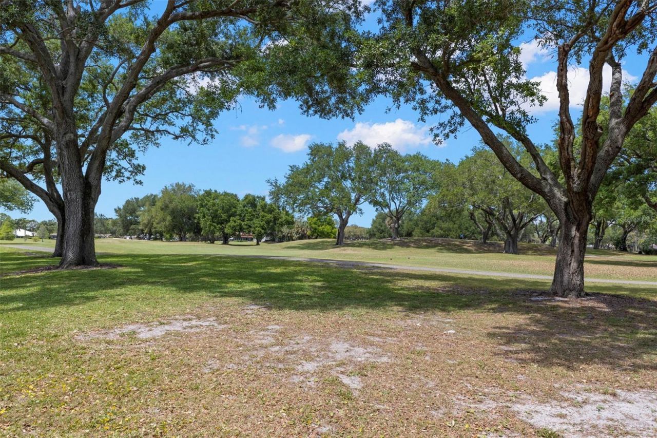 2836 Quail Hollow Road W, Clearwater, FL 33761 Photo