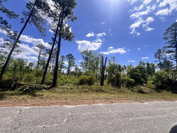 BANYAN STREET , Unit No. 1, EUSTIS, FL 32736