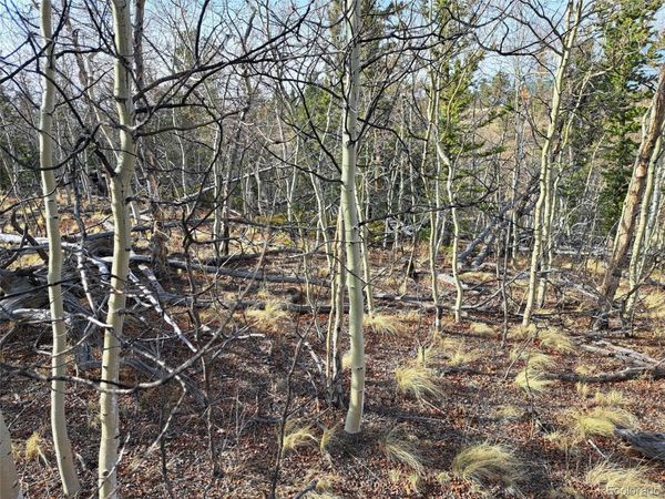 93 Wyandot Way , Como, CO 80432