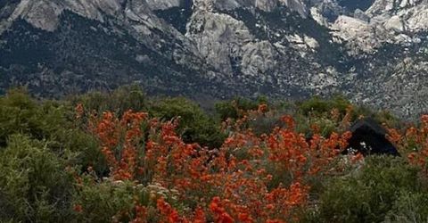 15 Wine Glass Way, Austin, NV 89310 Photo