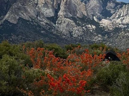 15 Wine Glass Way, Austin, NV 89310 Photo