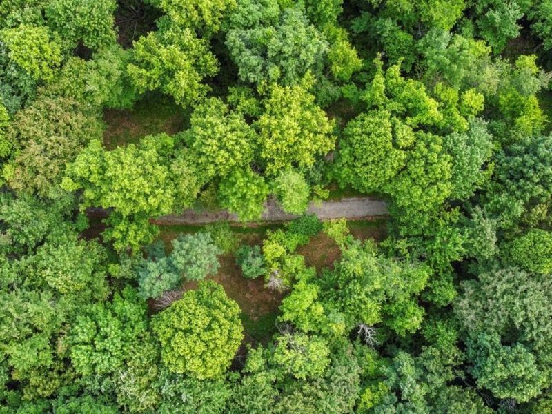 0 Potts Hill Road , Bainbridge, OH 45612 Photo 11