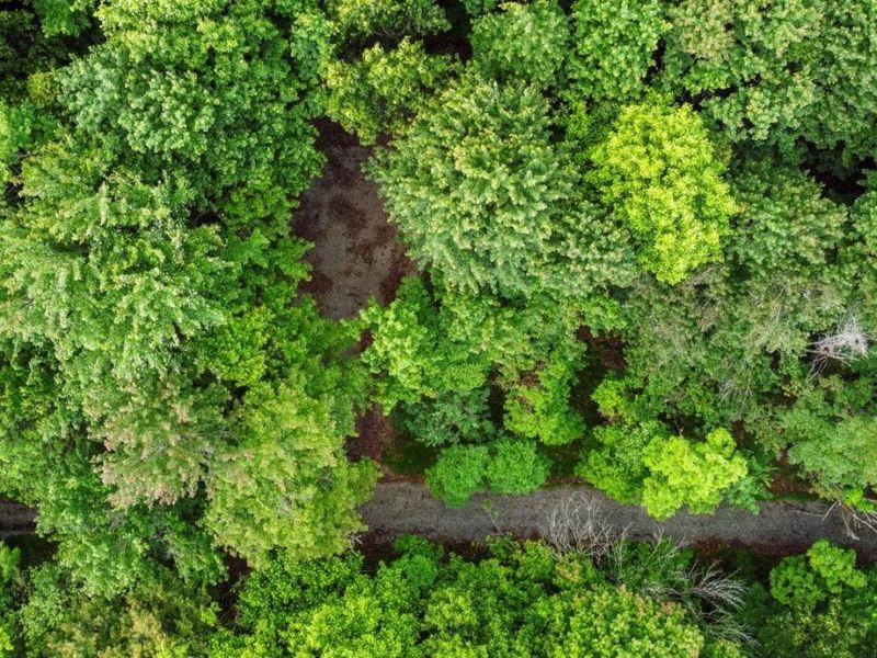 0 Potts Hill Road , Bainbridge, OH 45612 Photo 12