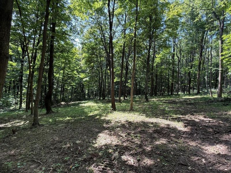 0 Potts Hill Road , Bainbridge, OH 45612 Photo 13