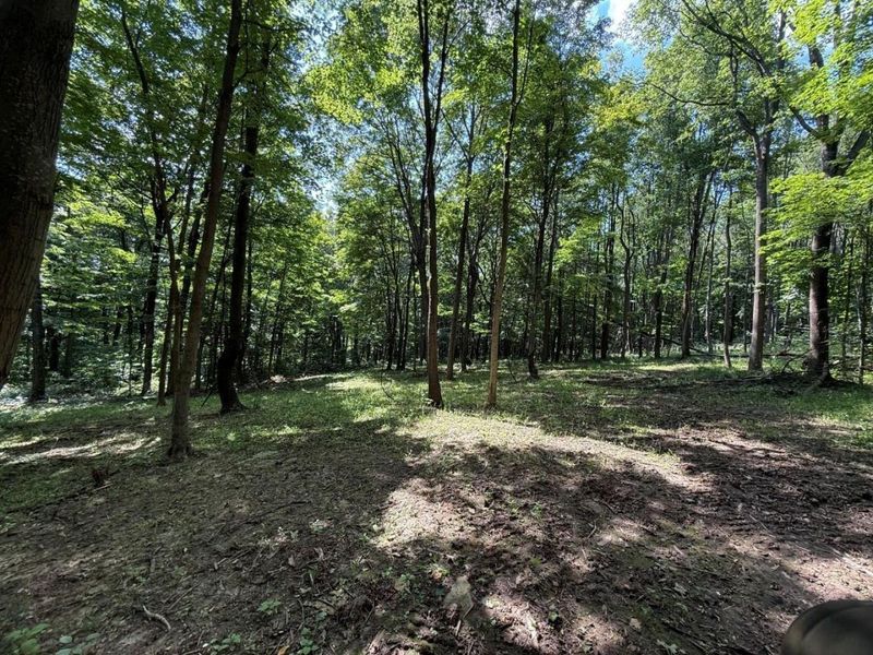 0 Potts Hill Road , Bainbridge, OH 45612 Photo 14