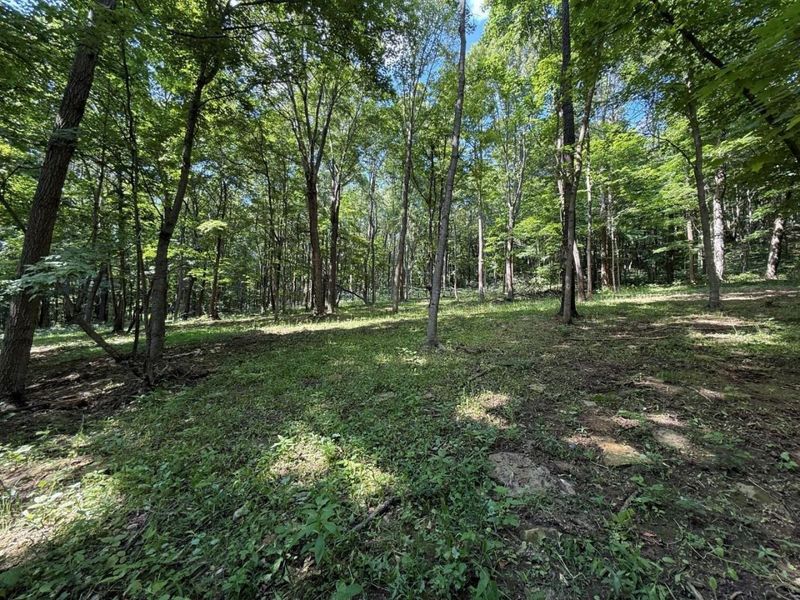 0 Potts Hill Road , Bainbridge, OH 45612 Photo 15