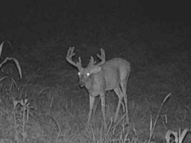 0 Potts Hill Road , Bainbridge, OH 45612 Photo 16