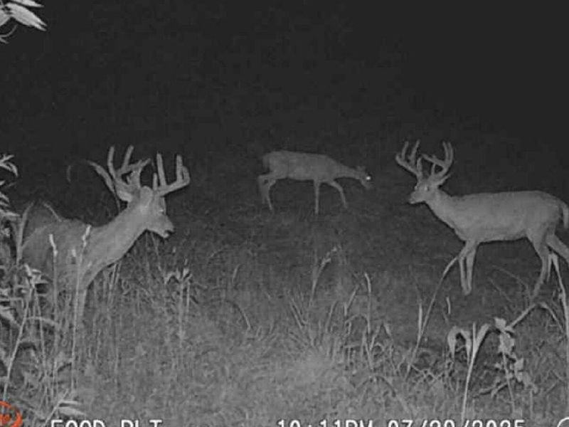 0 Potts Hill Road , Bainbridge, OH 45612 Photo 17