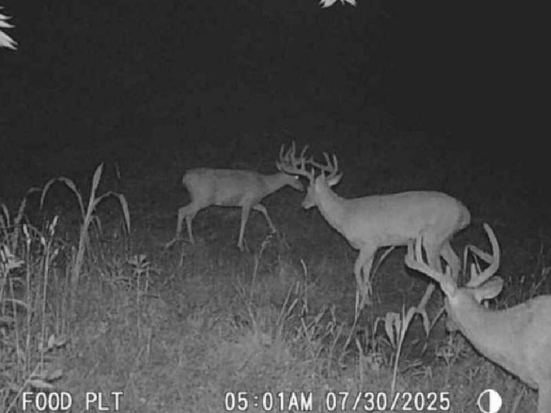 0 Potts Hill Road , Bainbridge, OH 45612 Photo 19