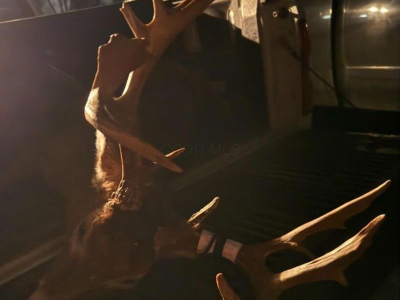 0 Potts Hill Road , Bainbridge, OH 45612 Photo 20