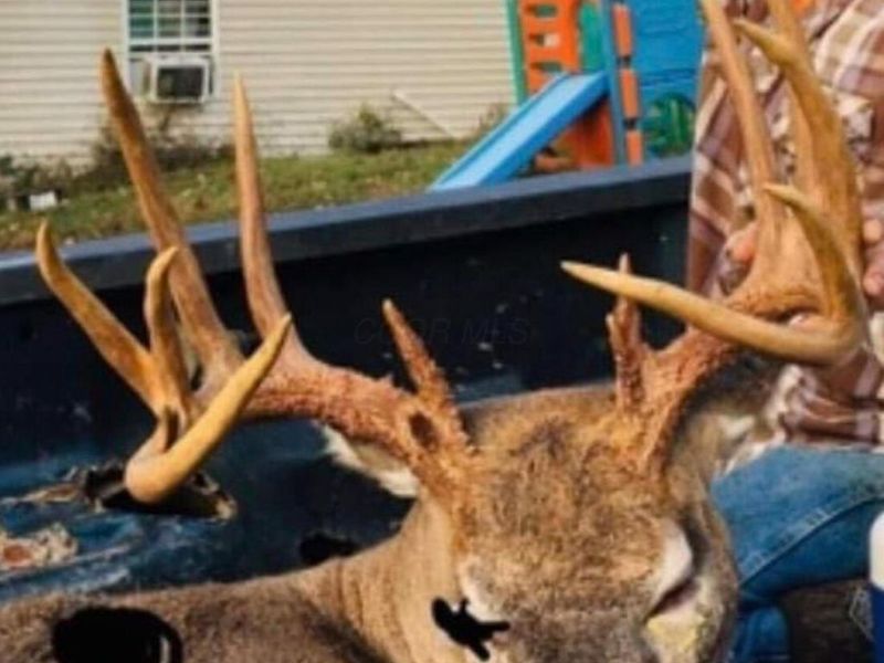 0 Potts Hill Road , Bainbridge, OH 45612 Photo 22