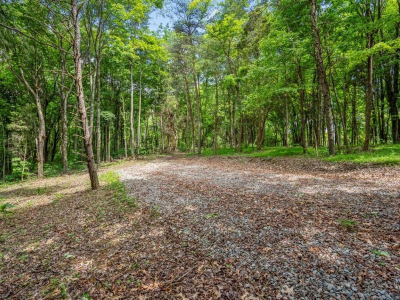 0 Potts Hill Road , Bainbridge, OH 45612 Photo 5