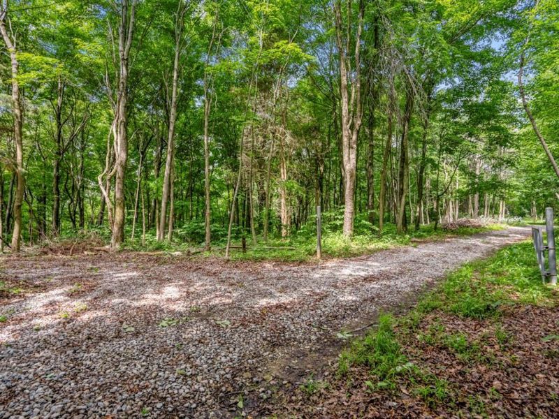 0 Potts Hill Road , Bainbridge, OH 45612 Photo 6