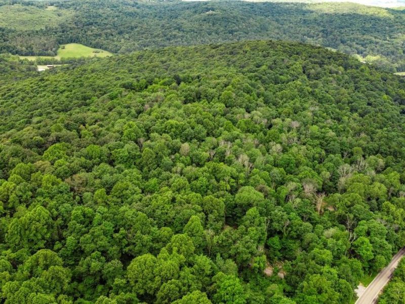 0 Potts Hill Road , Bainbridge, OH 45612 Photo 8