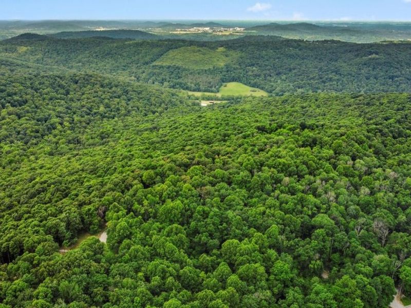 0 Potts Hill Road , Bainbridge, OH 45612 Photo 9