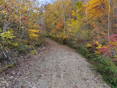 9999 KY-11, Manchester, KY 40962