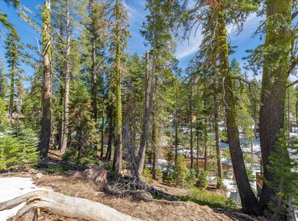 7348 Cascade Road, Soda Springs, CA 95728 Photo