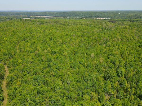 0 Gauging Station Ln, Hurricane Mills, TN 37078