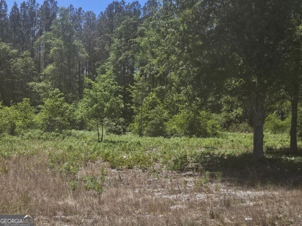 0 Edgar Lane Road, Millen, GA 30442