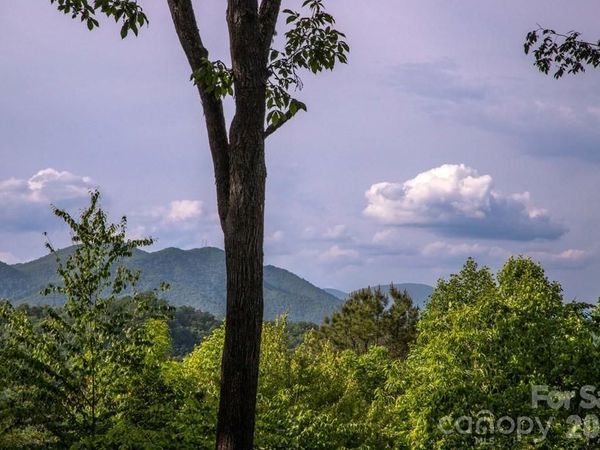 339 Honey Locust Trail , Unit 9, Whittier, NC 28789