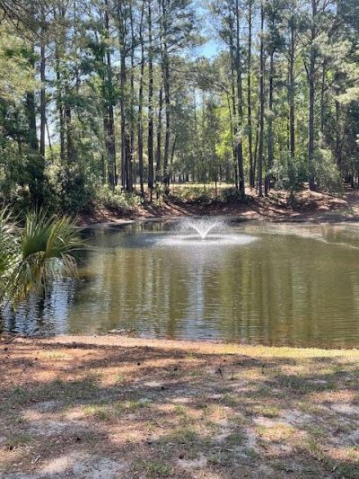 7869 Montview Road Photo 22