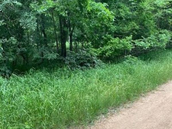 Lot 812 Kaukonahua LN, Bastrop, TX 78602