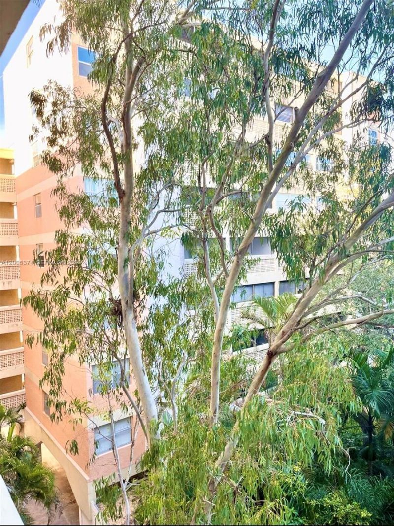 3301 Spanish Moss Ter , Unit 510, Lauderhill, FL 33319 Photo