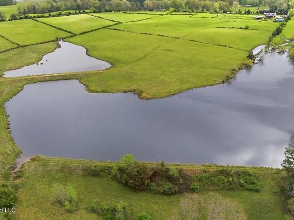 131 Laws Hill, Holly Springs, MS 38635