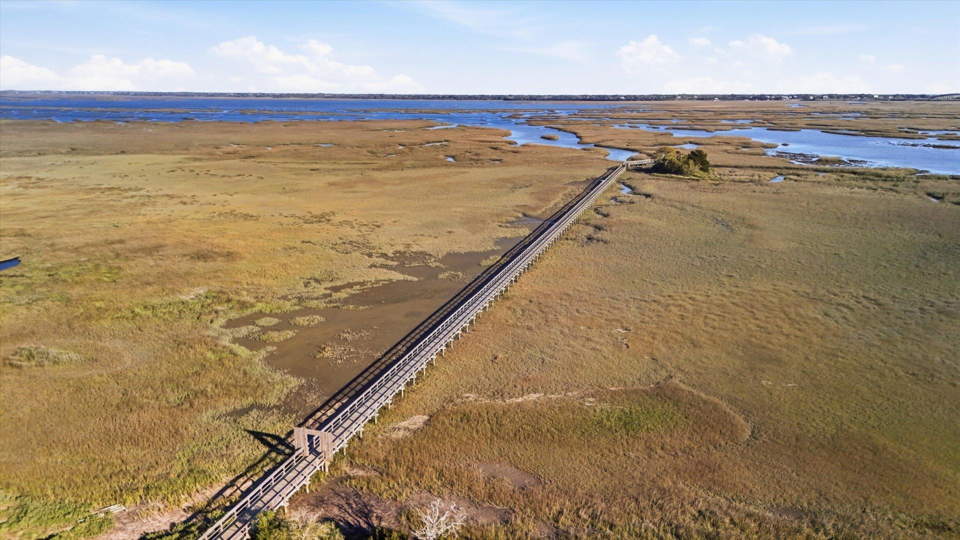 2094 Oyster Reef Lane Photo 46