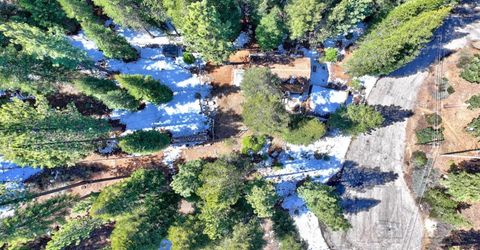 1652 Hidatsa Court, South Lake Tahoe, CA 96150 Photo