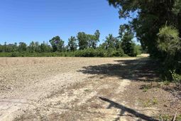 Tbd2 Pleasant Hill Dr.  photo 4