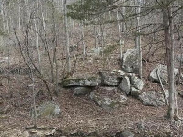 3528 M- County Road 329 , Ava, MO 65608