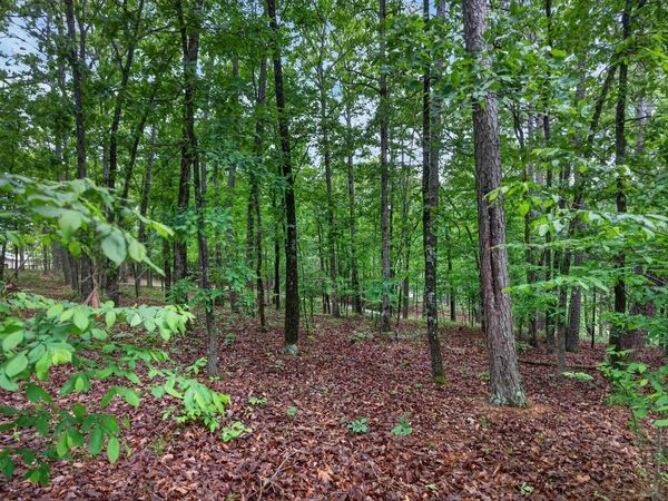 Hot Springs Village, AR 71909