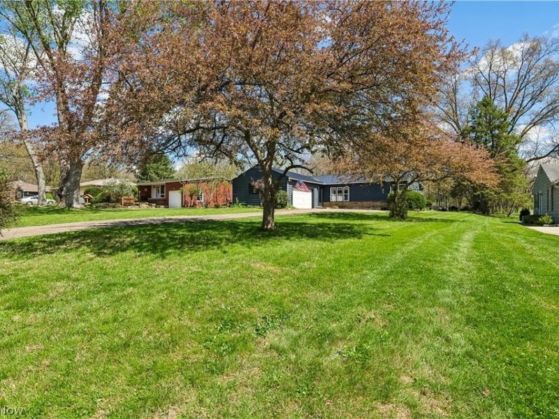 267 Parkview Avenue, Wadsworth, OH 44281 Photo 4