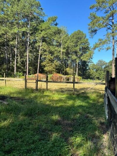 696 Bedon Road Photo 4